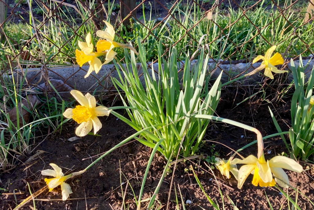 Március végi menüterv