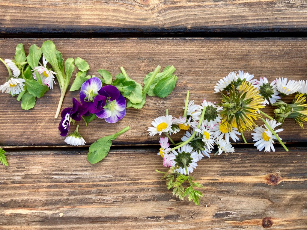 Ehető vadnövények: Gaztronómia workshopon&nbsp;jártam